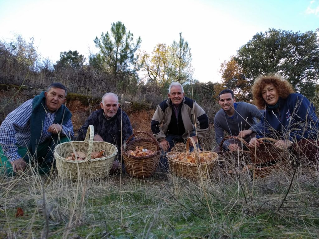jornadasMicoloigas2